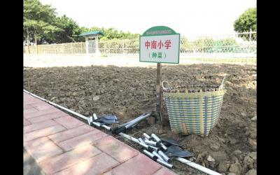 體驗綠色種植，感受花開有聲